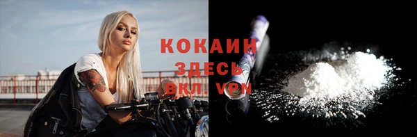 гашик Новозыбков