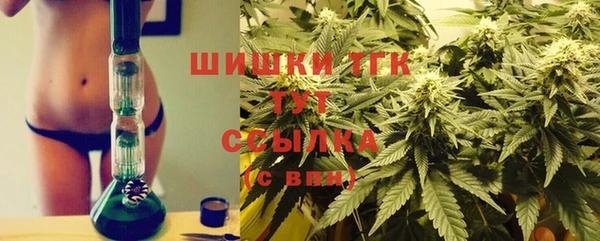 марки nbome Гусиноозёрск