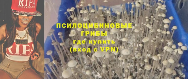 шишки Мосальск
