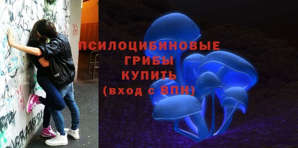 марки nbome Гусиноозёрск