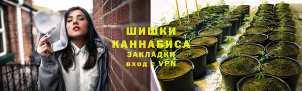 бошки Чекалин