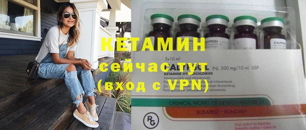 стафф Новодвинск